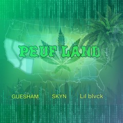 Lil Blvck 63 - Peuf Land Feat Guesham & Skyn