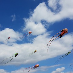 Summer Fun