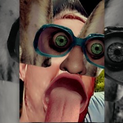Dick & Doof / Markus & Jenny / Hund & Katze
