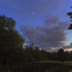 Mourning Constellations