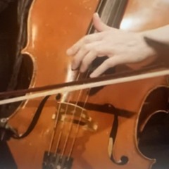 Spiral Noons ~ Quatuor Bozzini ~ 2022 ~ excerpts