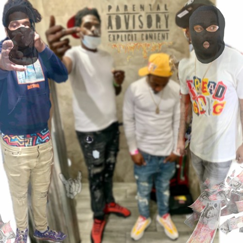 O50 x Bozak x - Anyday