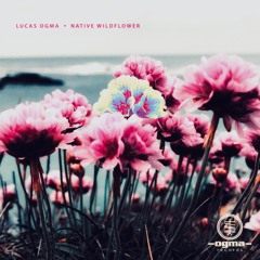 Four Four Premiere: Lucas Ogma - Native Wildflower [Ogma Records]