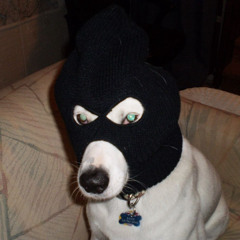 dawg shitt (Ft. spzeem)