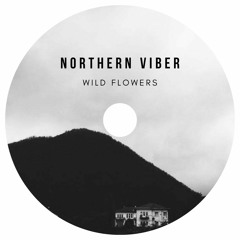 Northern Viber - Wild Flowers [Original Mix].mp3
