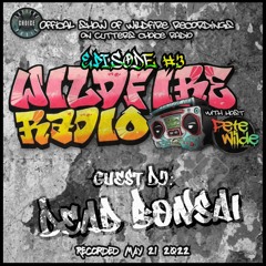 Wildfire Radio Show #3 (Guest DJ Dead Bonsai)