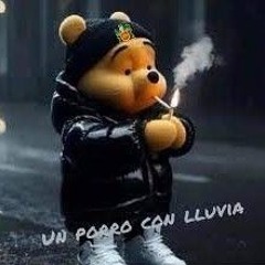un porro con lluvia