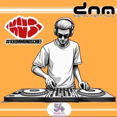 Digital Night Music pres. Krumm & Schief Edition 399