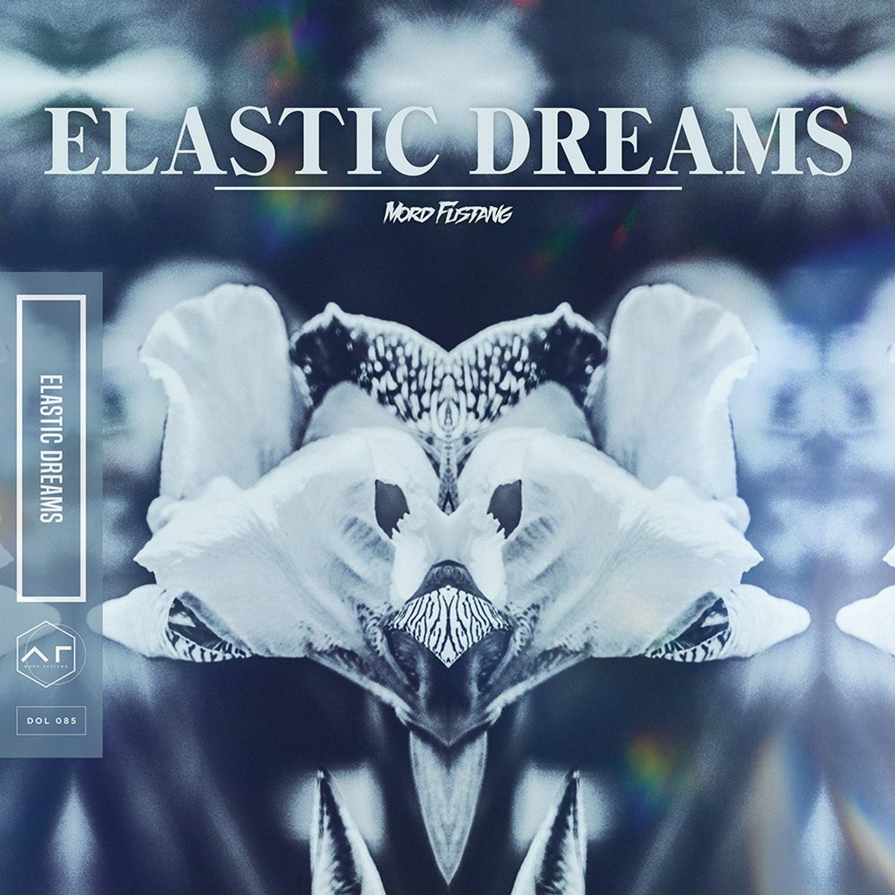 ELASTIC DREAMS episode artwork