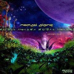 Nomad Aliens - Hidden Map (Beyond Visions Rec.) OUT NOW!