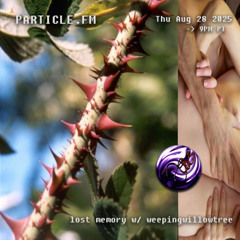 lost memory w/ weepingwillowtree - Aug 28th 2025