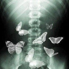 Butterflies 🦋 (Prod.Prodigy)