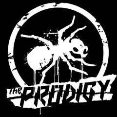 The Prodigy - Breathe (BRI Edit)