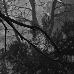 Degredo & Cantos De Muerte - Sample [OUT SOON]