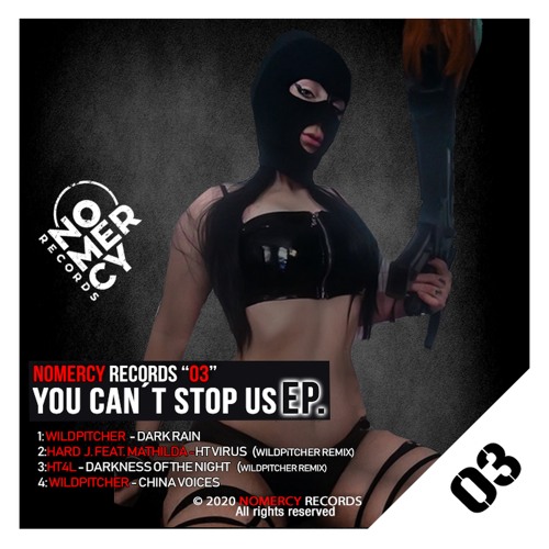Darkness of the Night (WILDPITCHER Remix)