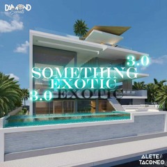 SOMETHING EXOTIC 3.0 (Hurtadodj) - 2020