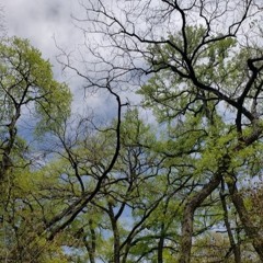 Dua Lipa - Don't Start Now (777 Remix)