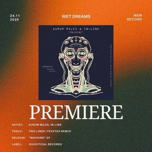 Aurum Miles, In-Link  - Two Lines (Tevatea remix)