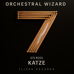 Orchestral Wizard (Radio-Edit)