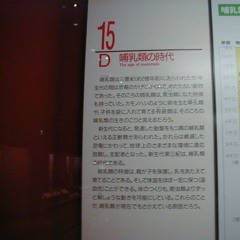 像2