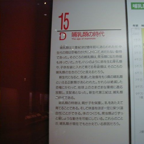 像2