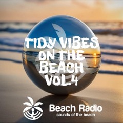 Tidy Vibes On The Beach 4