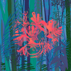 𝖕𝖗𝖊𝖒𝖎𝖊𝖗𝖊#353 📢 RodMan - Reese Otto (ft. Nico) [Cluster Traxx]