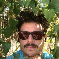 I Love To Watch You Tear Apart My Wood With Your Hands