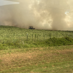 ,,,,,,,,,,,,,,,,,,,,