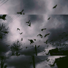 Wings Toward the Light