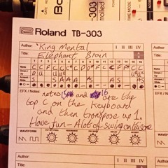 KING MENTAL - ELEPHANT BRAIN JERZZ MAP0421 808303(freeWAVdownload)