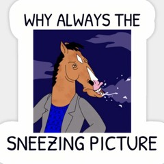 why i love bj horse man beacause he is fuckt