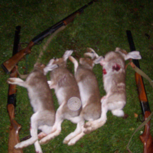 Фит с dj Расул