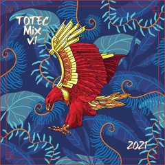 Totec Mix V1 Spring 2021