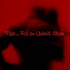 It'z A Vibe...Vol.20 (Adult Situations)