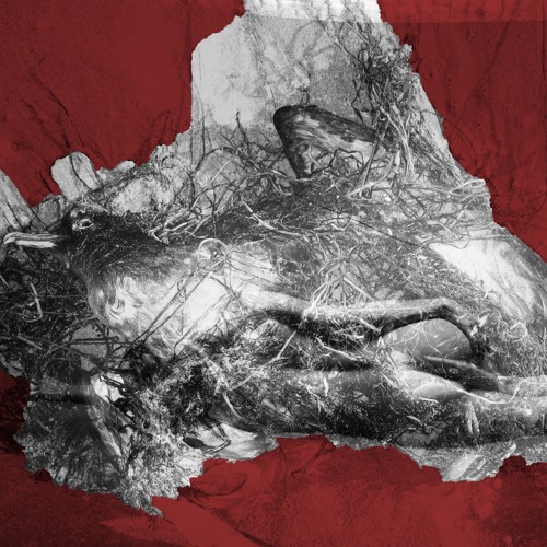 Pornographic Feminism