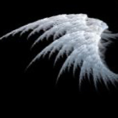 angel (wayza)