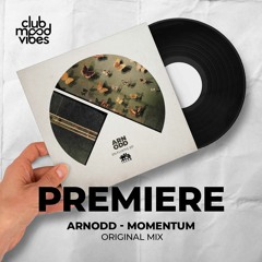 PREMIERE: Arnodd ─ Momentum (Original Mix) [Traum Schallplatten]