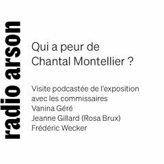 Radio Arson - Exposition Chantal Montellier, visite avec les commissaires