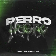 Bad Bunny, Feid - Perro Negro (HSTN Remix)
