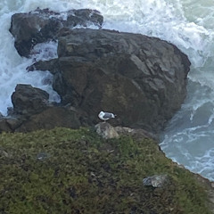 own works (prod. by gore-ocean)