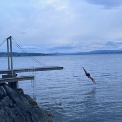 Feita Fra Tveita Drar til Gressholmen og Stuper i Det Sommermiks