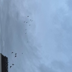 Melodic sunday live session 01