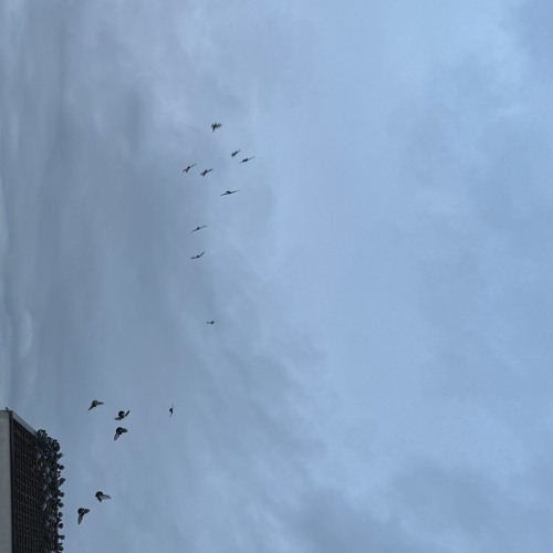 Melodic sunday live session 01