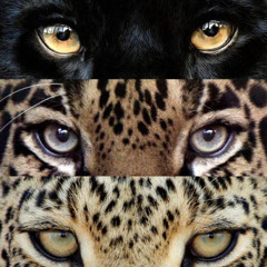 eyes ft vozzi4 prod jaeden