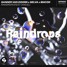 Sander van Doorn x Selva x Macon - Raindrops (feat. Chacel) (Brendan Carroll Remix)