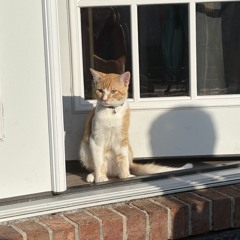 Can't Hold My Breath