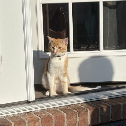 Can't Hold My Breath