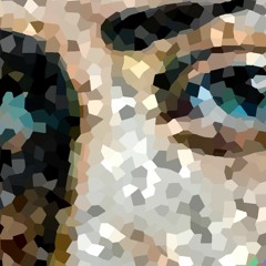 EvasiveEyes