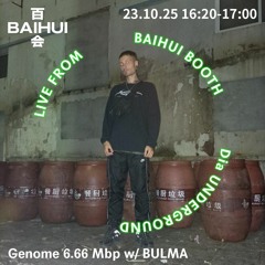 Genome 6.66 Mbp w/ Bulma on Baihui Radio